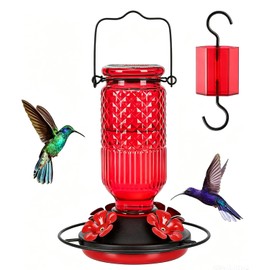 Hummingbird Feeder with Bee Guards and Ant Moat - 16 oz