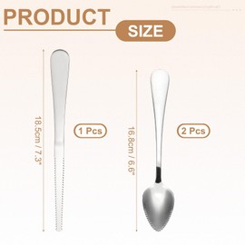 PATIKIL 2PCS Grapefruit-Spoons with Serrated Edge, Grapefruit-Spoons Serrated, Silver,1 Set