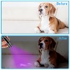 Riakrum 12 Pcs UV Blacklight Flashlights LED Handheld Mini Light