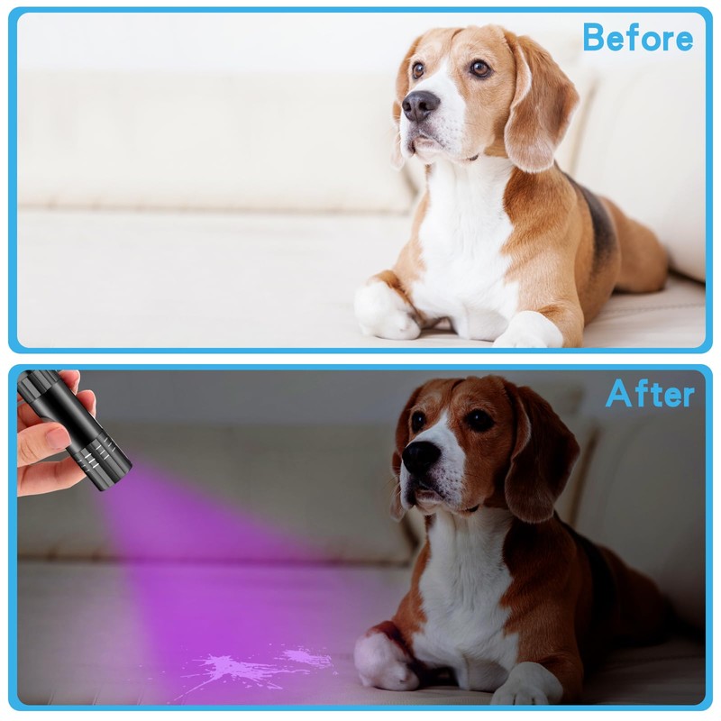 Riakrum 12 Pcs UV Blacklight Flashlights LED Handheld Mini Light