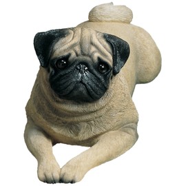 Sandicast Life Size Fawn Pug Sculpture, Lying