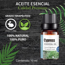 Aceites Esenciales Ciprés de Aromaterapia - Natural 100% de Aceite Esencial Natural Conjunto de Difusores y Humidificadores con Caja de Regalo Exquisita (UVa Natural, 10 ML) (Ciprés)