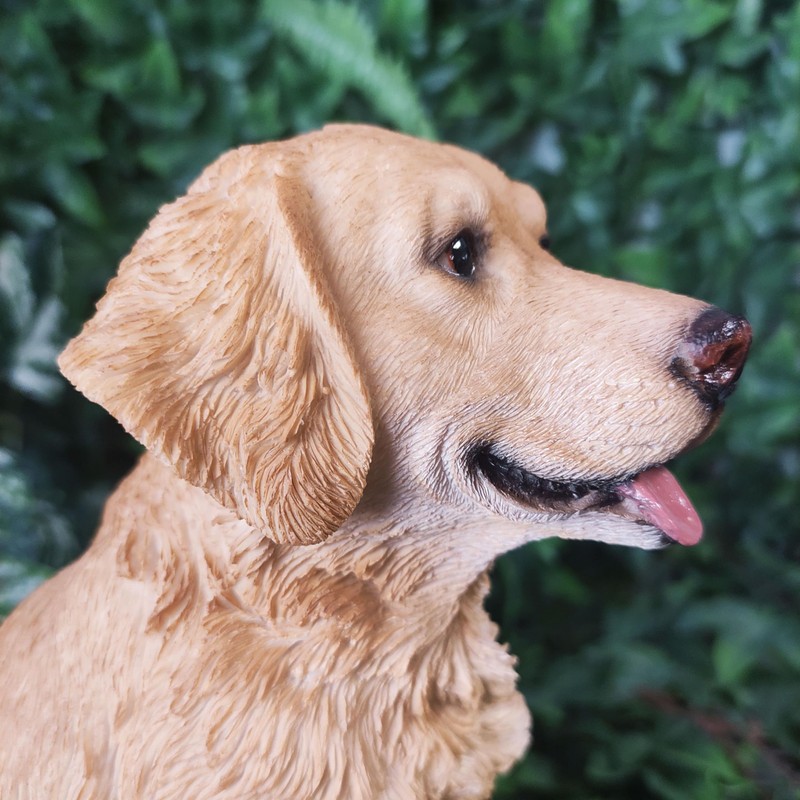 Vivid Arts - Golden Retriever - XRL-GR03-D