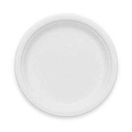 25cm (10") Large White Bagasse Plate - Fully Biodegradable & Compostable (Pack of 50)