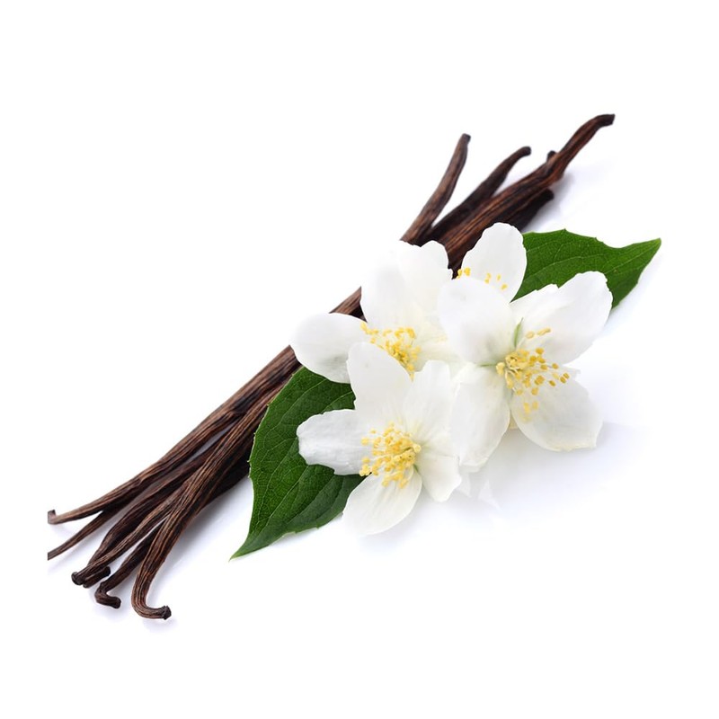 Imitation Vanilla Flavor - Clear 32 fl oz