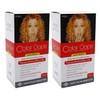 Color Oops Hair Color Remover Extra Strength 1 Application (Set of 2) by Developlus