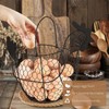 Flexzion Chicken Egg Basket, Egg Storage Holder with Handle for