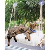 Cat Window Perch for Large Cats - Hammock Bed for