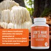 New! Lions Mane Supplement Capsules - 12,000mg 10x Concentrated High