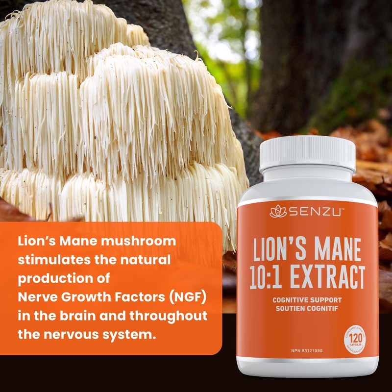 New! Lions Mane Supplement Capsules - 12,000mg 10x Concentrated High