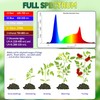 highydroLED 156-LED Full Spectrum Plant Light, E27 Grow Bulb for