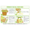 Asahi Pack Co., Ltd. Brown Rice Keeper, 2 Sheets