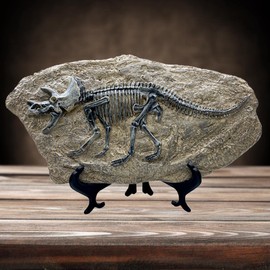 XINDAM Resin Triceratops Dinosaur Fossil Statue Model Simulated Skeleton Home Office Display Decorative Craft Box Decoration (Style 6)