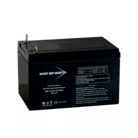 Bright Way Group BW12120NB 12 Volt 12 Amp Hour NB Terminal Battery