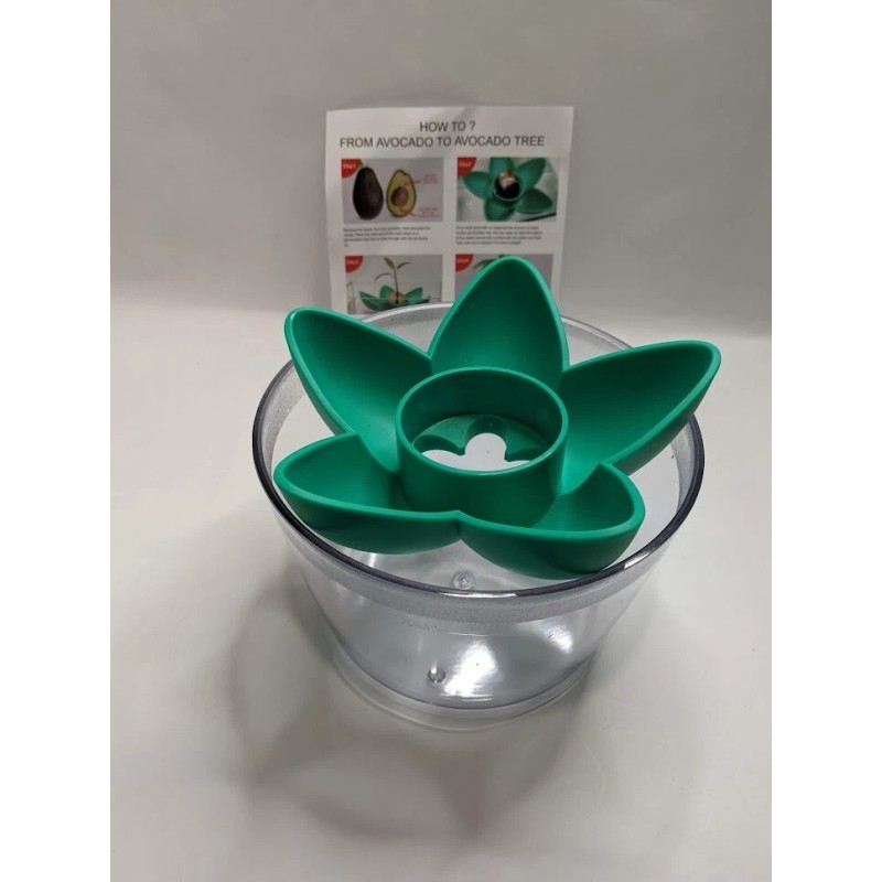 AvoSeedo Avocado Tree Growing Kit with seed pod base and