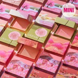 Benefit Blusher Dandelion Mini and 4 other types / 베네피트 블러셔 단델리온 미니 외 4종