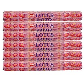 HEM(Hem)/Incense Stick/Precious Slotas/Case (Box of 20 x 6 Boxes)