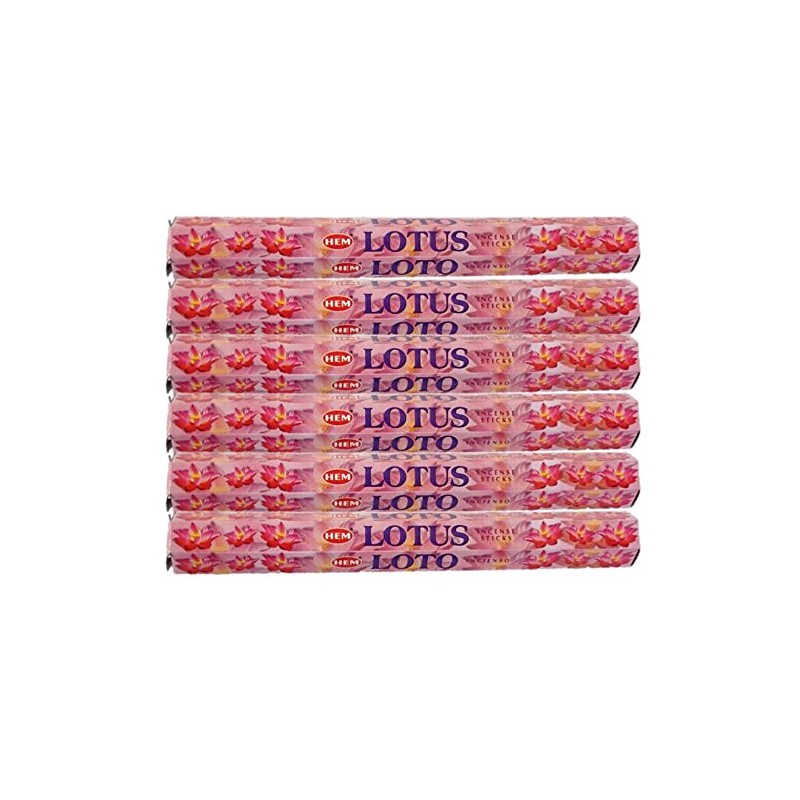 HEM(Hem)/Incense Stick/Precious Slotas/Case (Box of 20 x 6 Boxes)