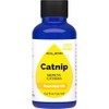 Catnip Essential Oil 15 ml - 0.5 oz - Pure