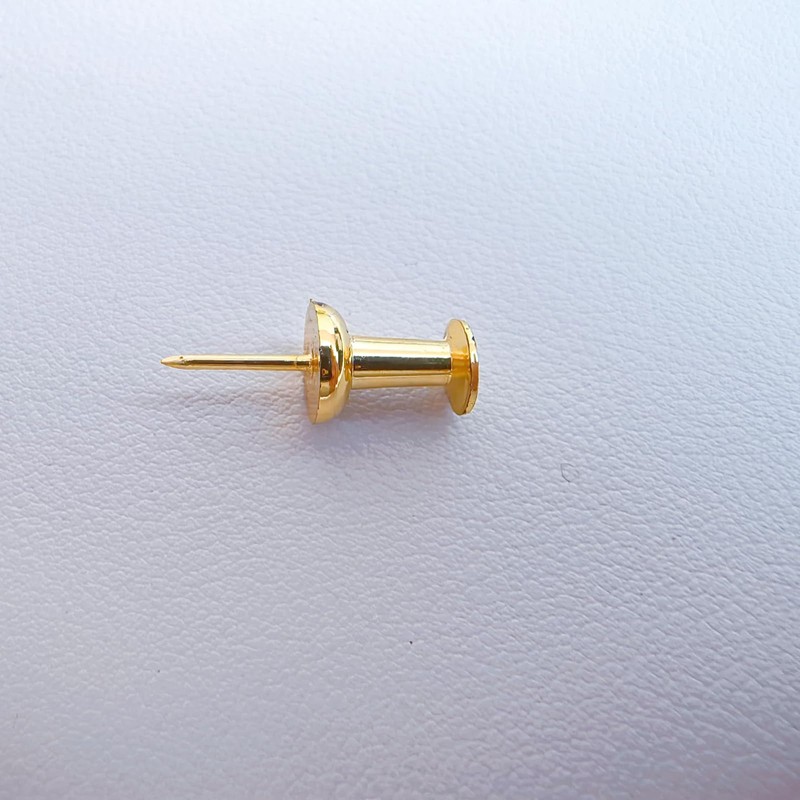100Pcs Gold Push Pins with Storage Box – Decorative Double