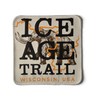 Ice Age Trail Patch - Wisconsin Hiker Gift