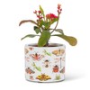 Abbott Collection Home Extra Small Allover Bugs Planter
