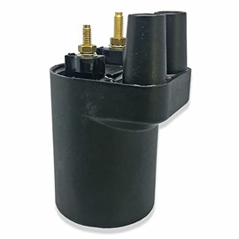 Ignition Coil Set of 1 Replacement for Onan P218G P220G P224G 166-0722 166-0820 HE166-0761 HE541-0522 Replace# 166-0535