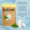 Blueland Pastillas Limpiadoras Inodoros Aroma Menta Eucalipto