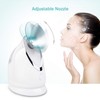 EZBASICS Facial Steamer Ionic Face Steamer for Home Facial, Warm
