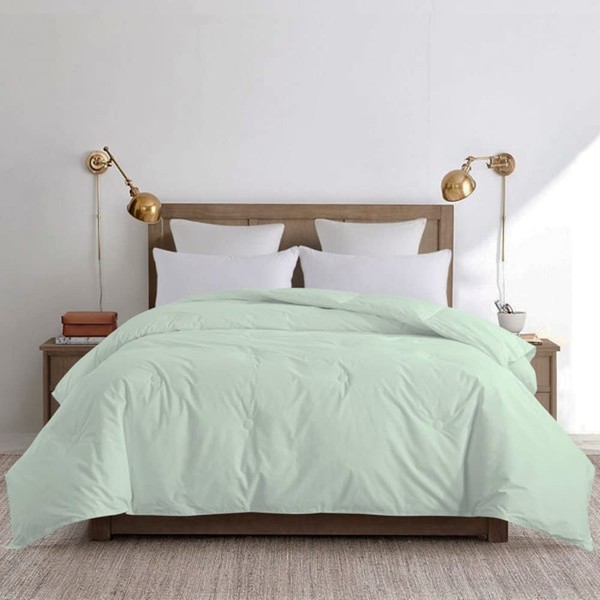Stylish 1 Piece Green Comforter, Twin Size, Modern Style, Subtle