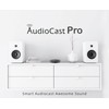 ACEMAX Audiocast Pro M20 Wireless WiFi Audio Receiver Multiroom Adaptor