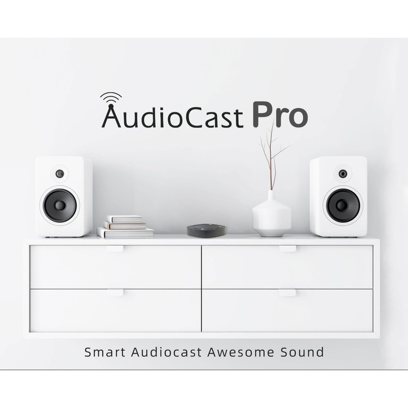 ACEMAX Audiocast Pro M20 Wireless WiFi Audio Receiver Multiroom Adaptor