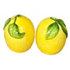 Lemon Salt and Pepper Pots Yellow Ceramic Kitchen Colourful Fruit
