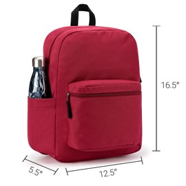 ZORFIN Basic Backpack for School Work Travel: Water Resistant Backpacks for Men and Women - Lightweight Bookbag for Girls and Boys - Russet Red