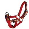 Tahoe Tack Nylon Overlay Sheep and Goat Training Halter with