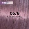 Shinefinity 06/6 60 ml shade cherry wine