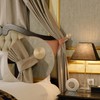 Curtain Holdbacks, Medallion Curtain Tieback Hooks for Drapes, Modern Decorative