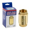 1 1/4 Inch Brass Check Valve for Well Pump, One