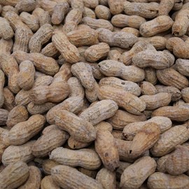 Barcelona Nut Inshell Peanuts Salted & Roasted - 5 Pounds - Deliciously Old Fashioned - USA Grown - Gluten Free - In Shell For Human - Peanuts In The Shell