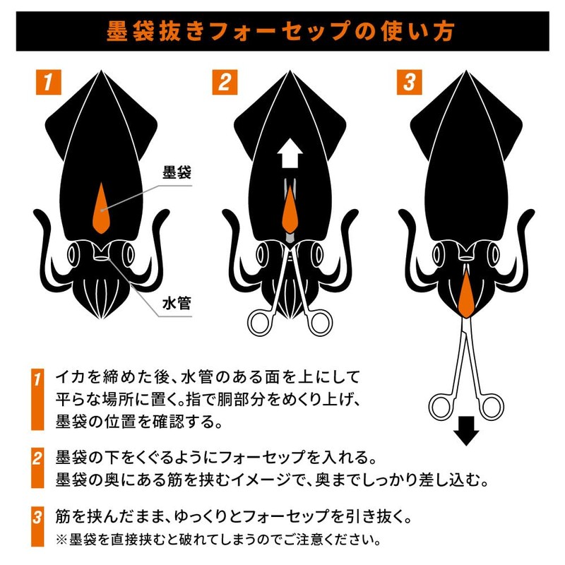 Takamiya XOOX 4 Segment Aurora