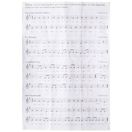 Clarke 700532 D-Tuning Sweetone Penny Whistle