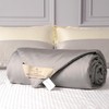 CUDDLE DREAMS Lightweight Silk Filled Comforter for Summer, Detachable Tencel