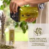 Occitane Gel Ducha Eco Refill Verbena 500ml