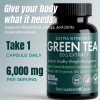 ADDOT WellLife Extra Strength Green Tea 20:1 Extract, 6000 mg