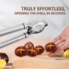 Holzsammlung Chestnut Cutter, 304 Stainless Steel Chestnut Peeler Tool, Portable