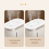 Humidifier 2L Capacity USB Charging Delicate Double Spray Humidifier with