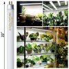 F24T5/865 6 Pack 22 Inch T5 Fluorescent Grow Light Bulbs,
