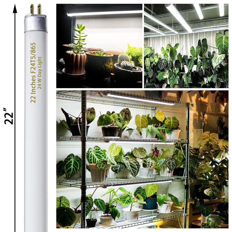 F24T5/865 6 Pack 22 Inch T5 Fluorescent Grow Light Bulbs,