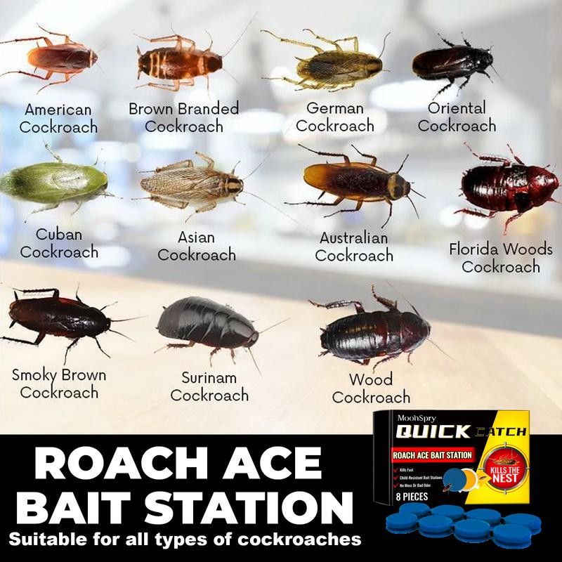 Effective cockroach snipers, safe home solutions - quantity: 2 pcs