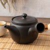 Tokonameyaki Teapot by Aoyama, Black Line Pattern, 600ml, Refreshing Strainer,